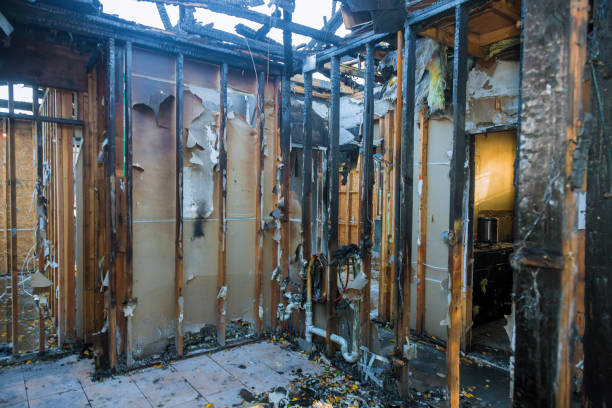 Professional Fire Damage Removal technician working in Monticello, MN