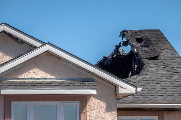 Top rated local Fire Damage Removal specialists in Monticello, MN
